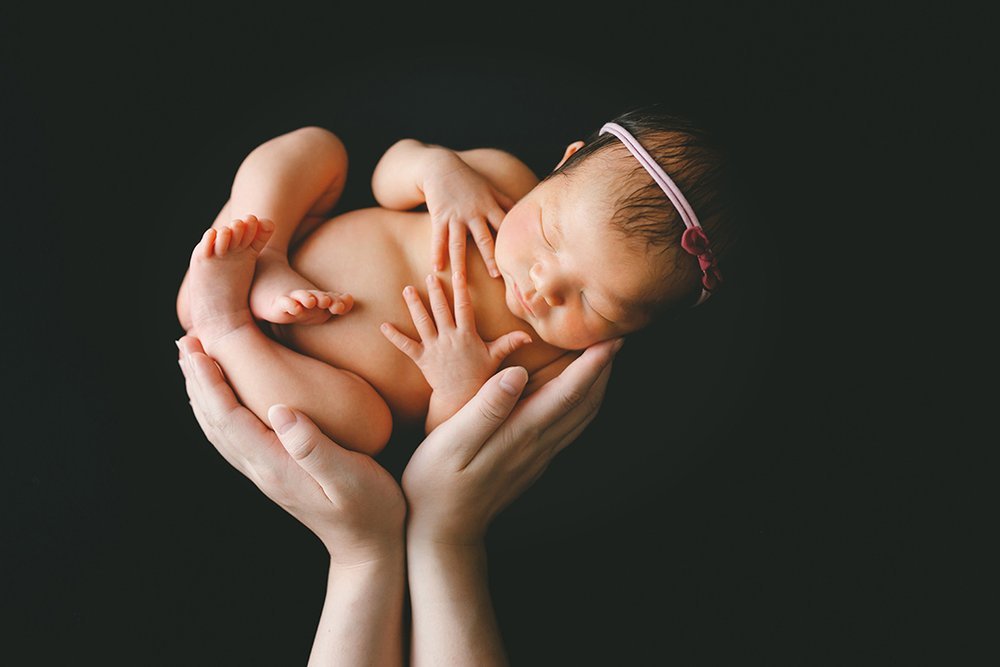 スタンダードプラン